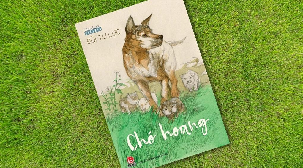 Bai co hoang bung nang hinh anh