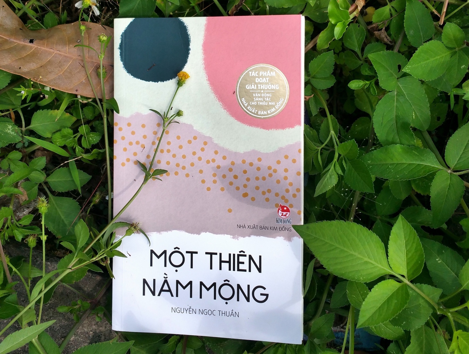 về sách Một thiên nằm mộng ảnh 1 ve sach Mot thien nam mong anh 1