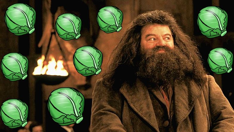 J.K.Rowling tiet lo hinh mau xay dung nen nhan vat bac Hagrid hinh anh