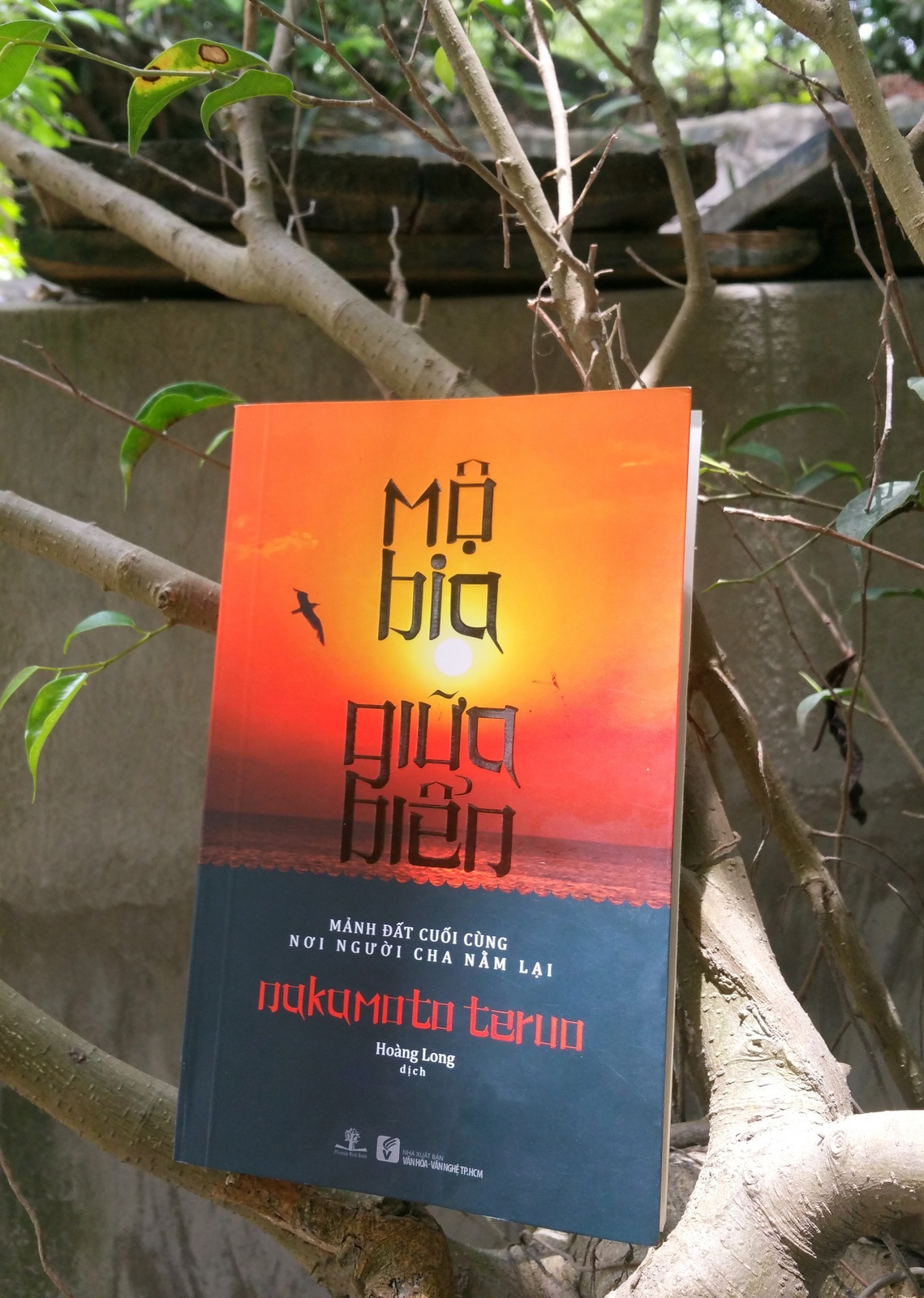 manh dat cuoi cung noi nguoi cha nam lai anh 1