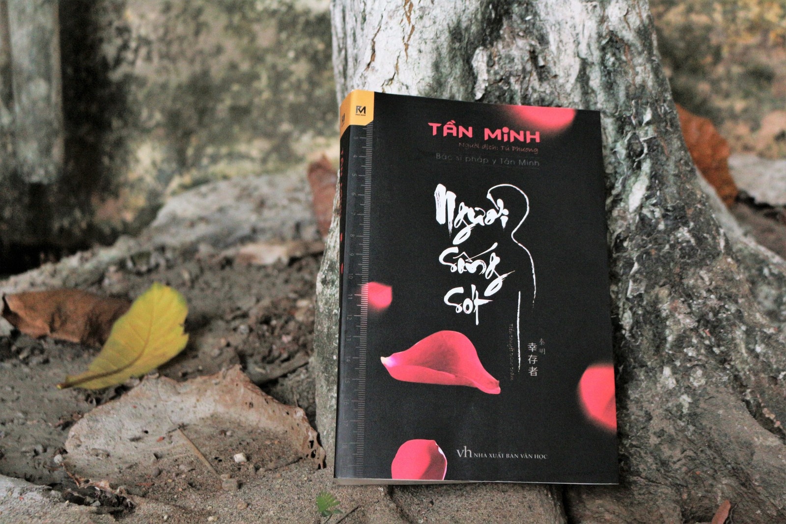 Buoc vao the gioi trinh tham cua Tan Minh hinh anh