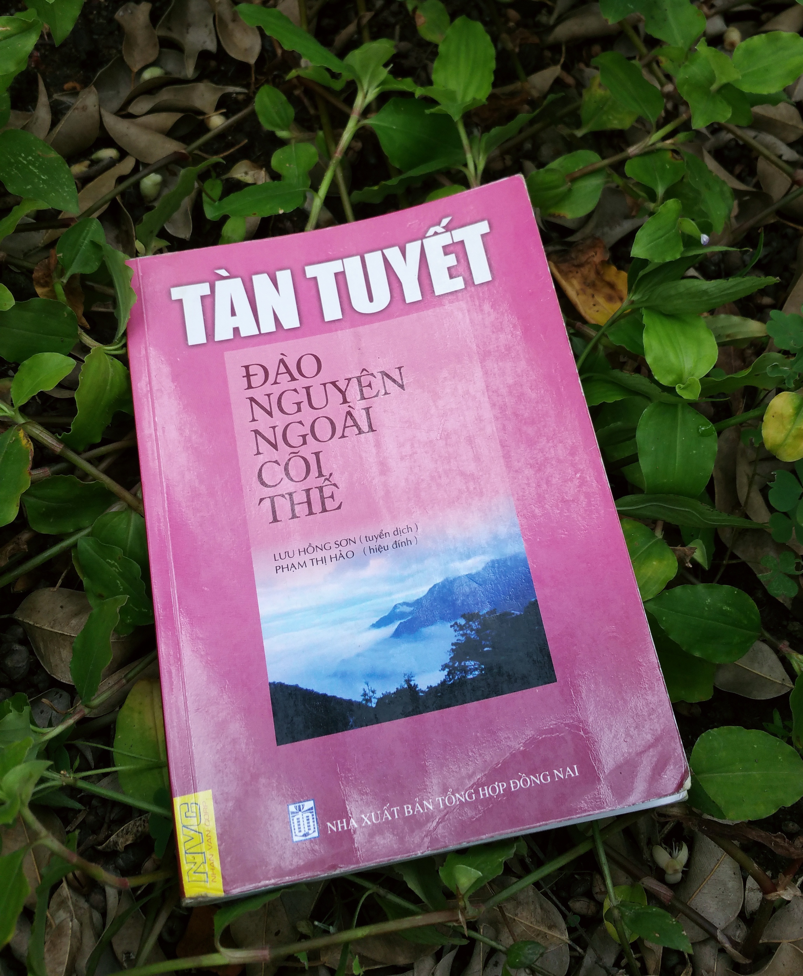 tac gia Tan Tuyet anh 2