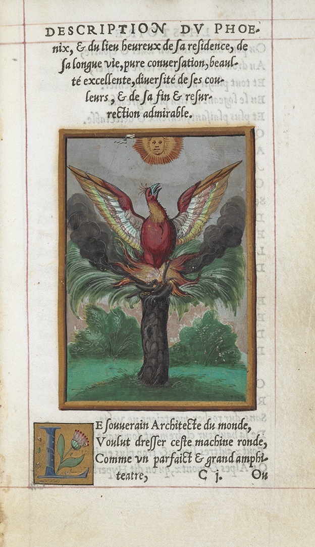 sach harry potter moi anh 2