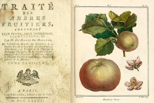 nhung cuon sach dat nhat the gioi anh 2