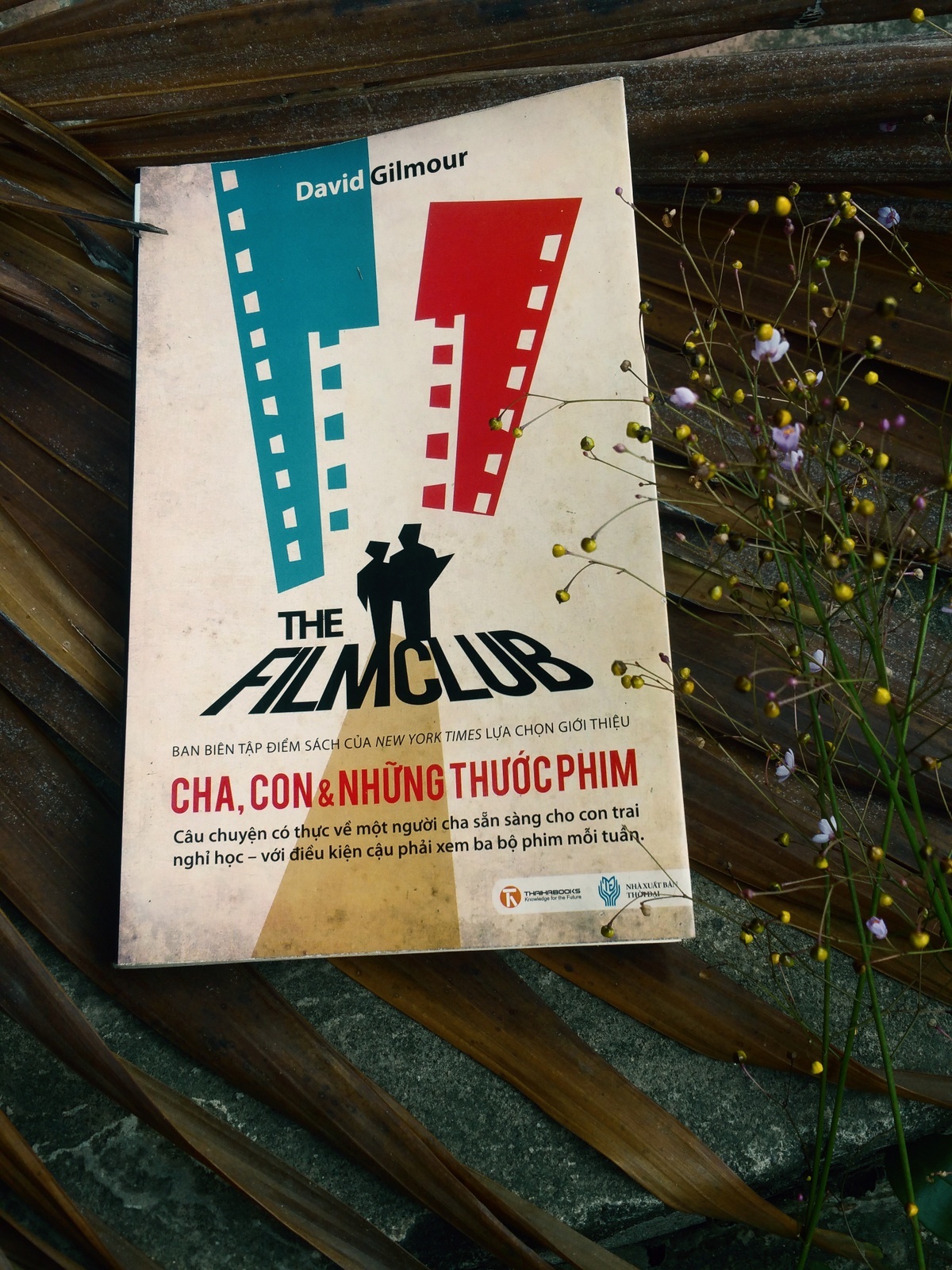 dien anh va tinh cha con anh 1