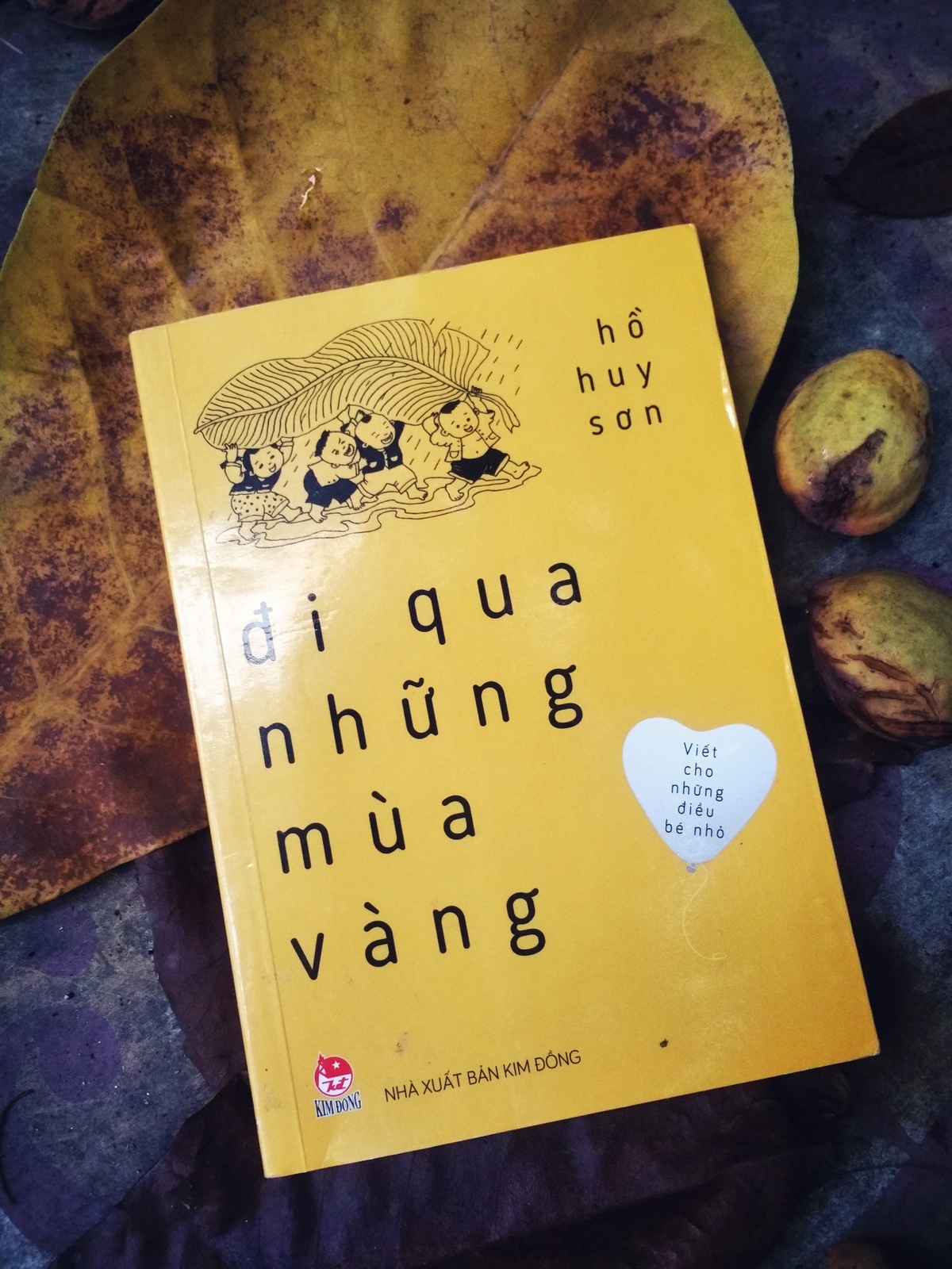 Đi qua những mùa vàng của Hồ Huy Sơn ảnh 1 Di qua nhung mua vang cua Ho Huy Son anh 1