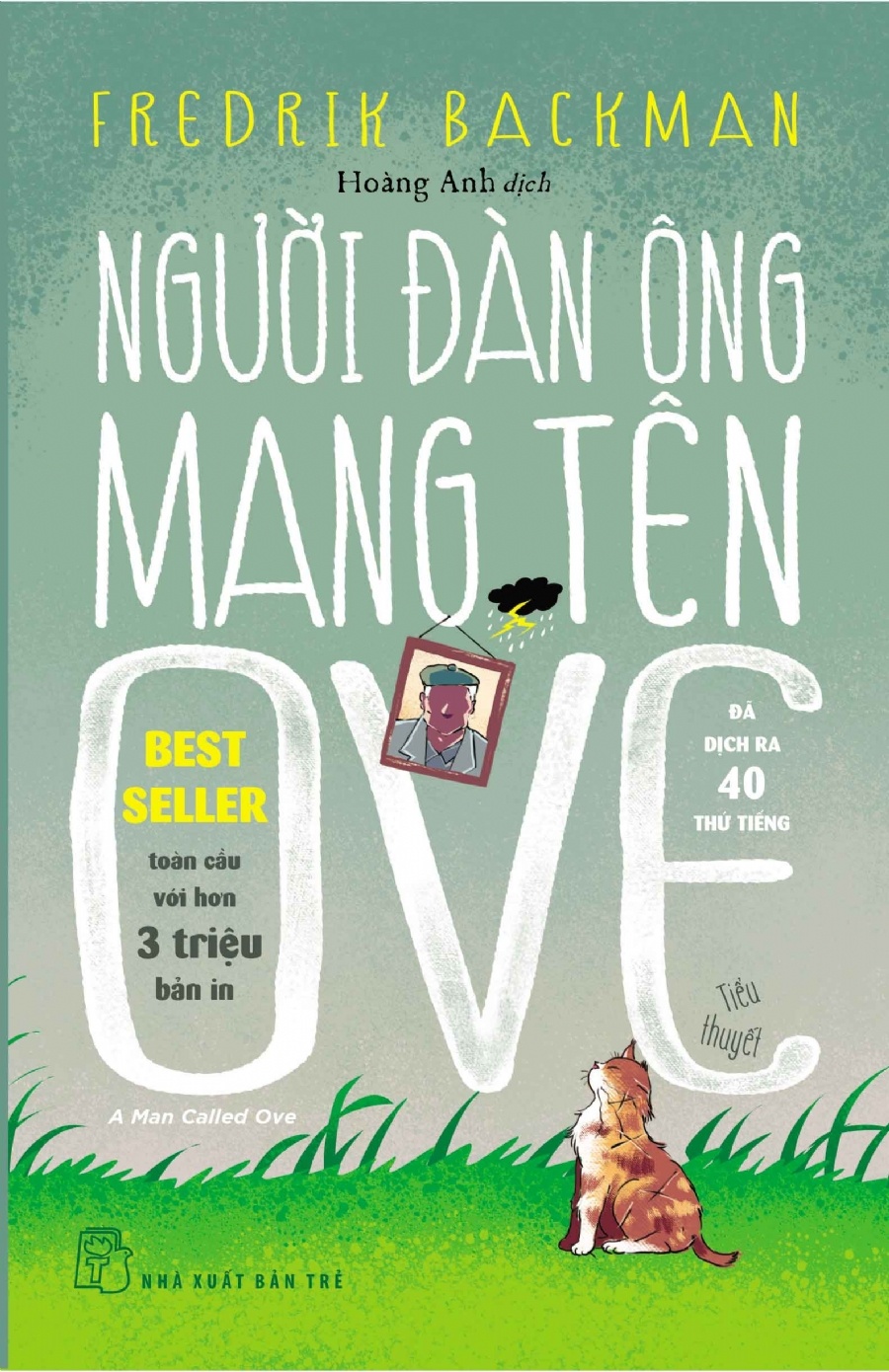 gioi thieu sach Nguoi dan ong mang ten Ove anh 1