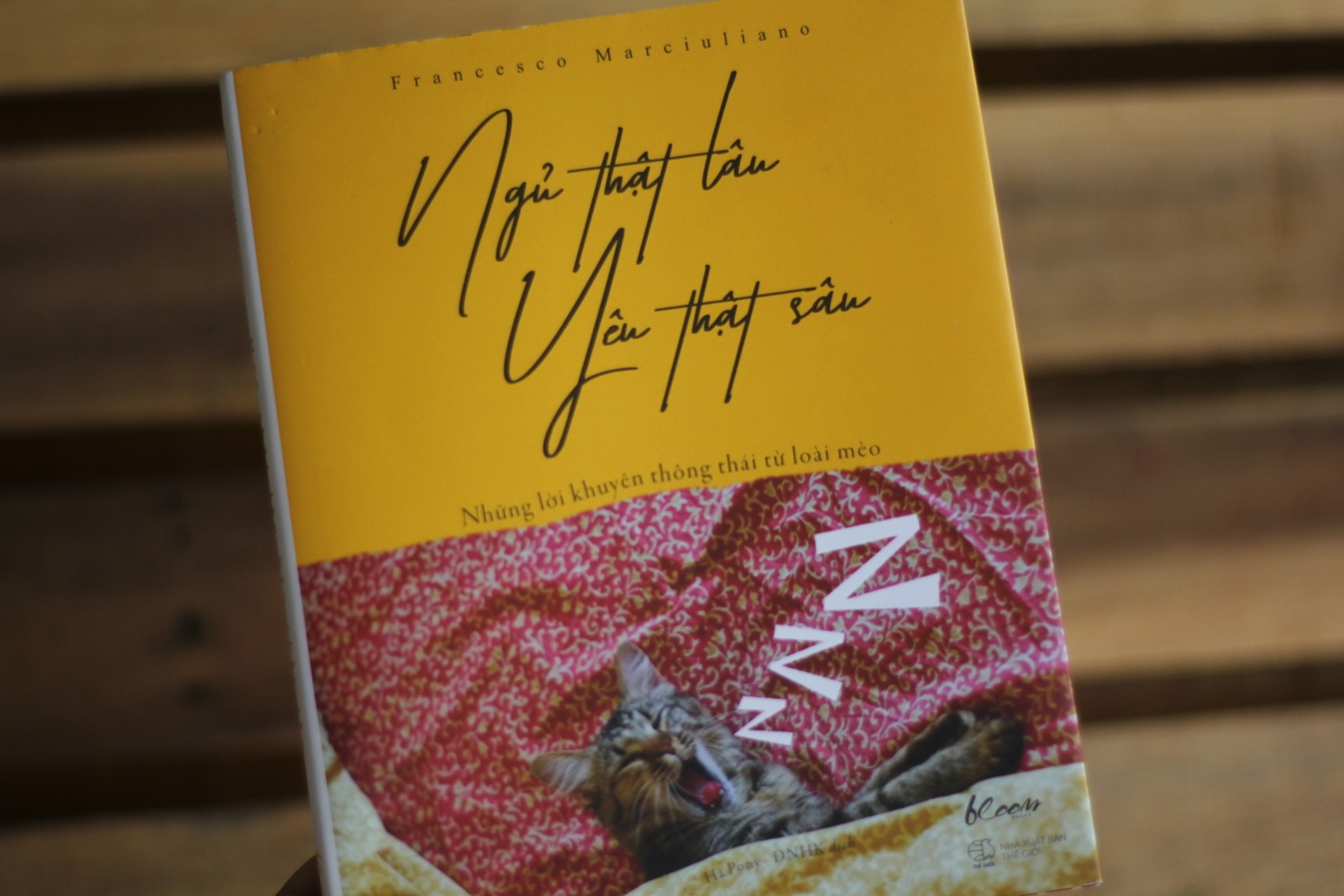 Nhung loi khuyen thong thai tu loai meo hinh anh