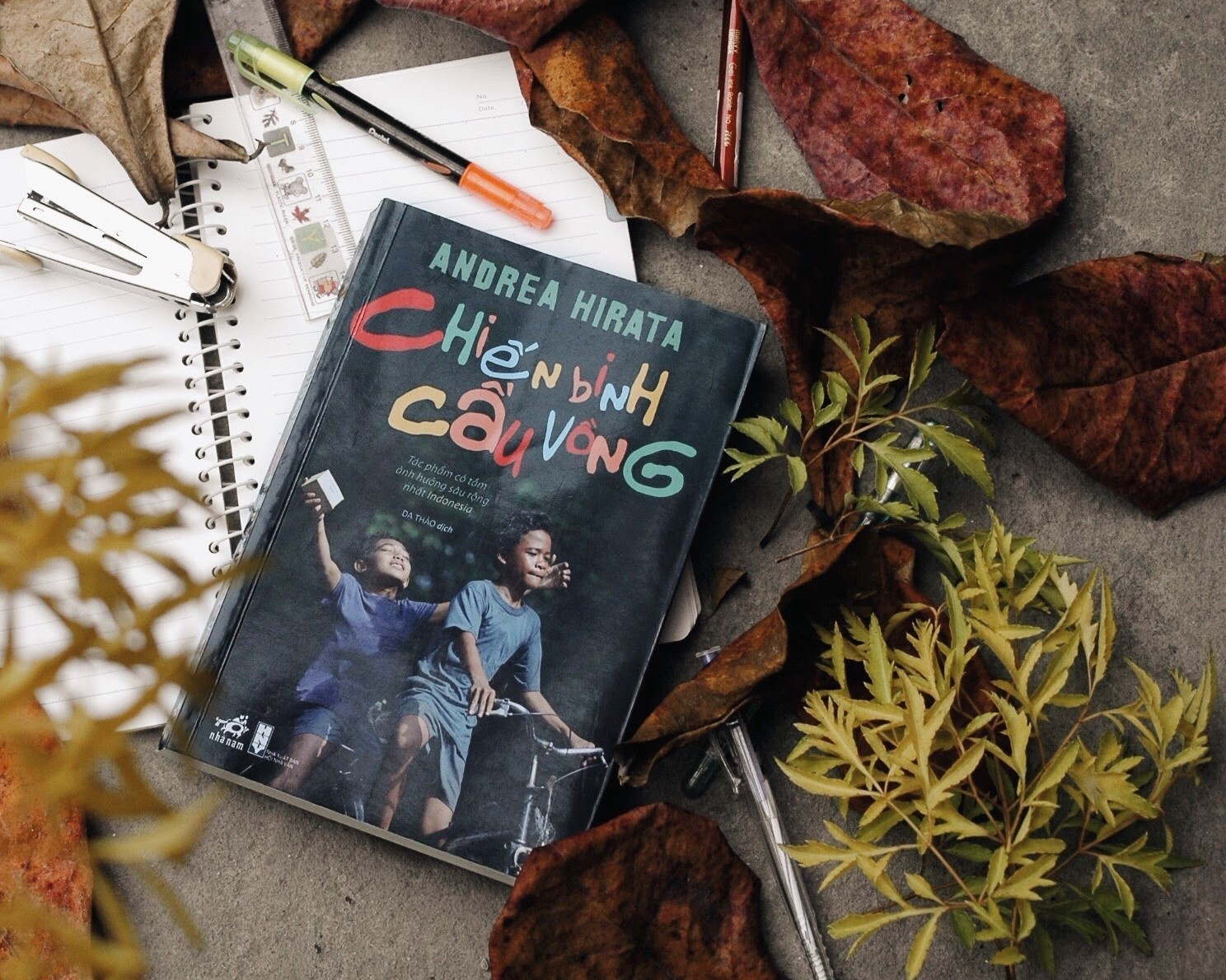 Nguoi thay vi dai anh 2