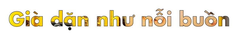 sach ve the he 1987 anh 10