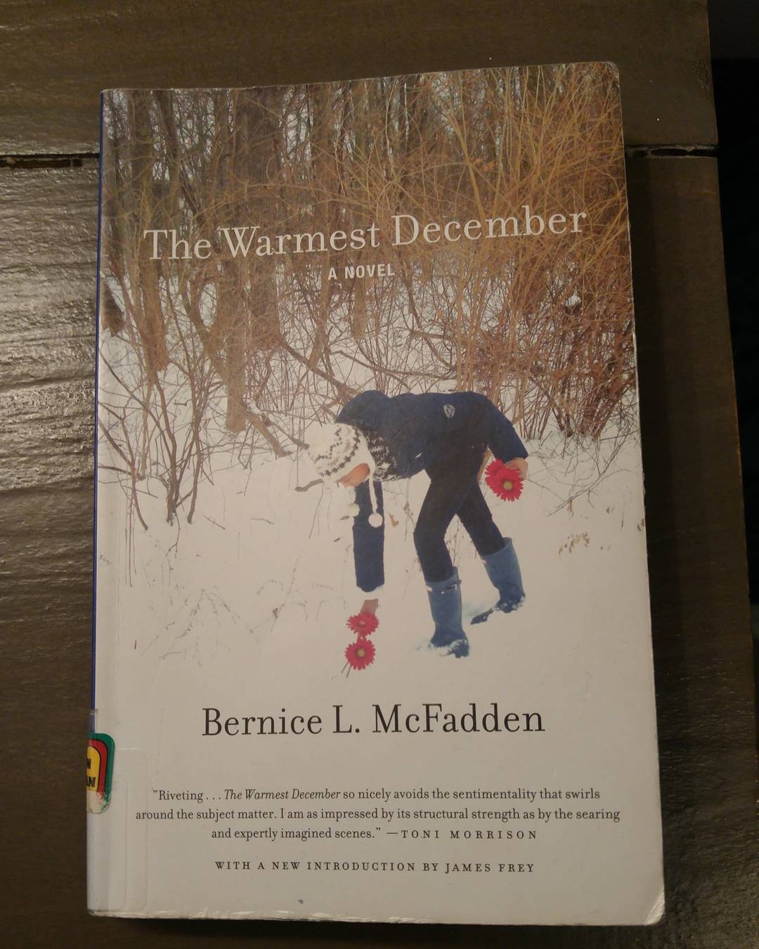 Sách hay tháng 12 ảnh 4 Sach hay thang 12 anh 4