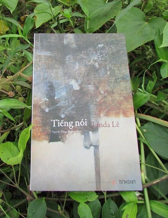 Tieng noi cua Linda Le anh 1