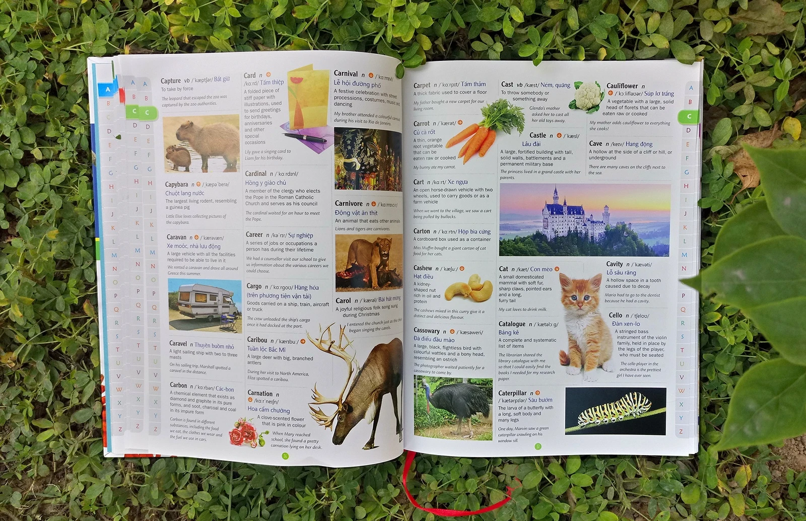 Children’s Picture Dictionary anh 2