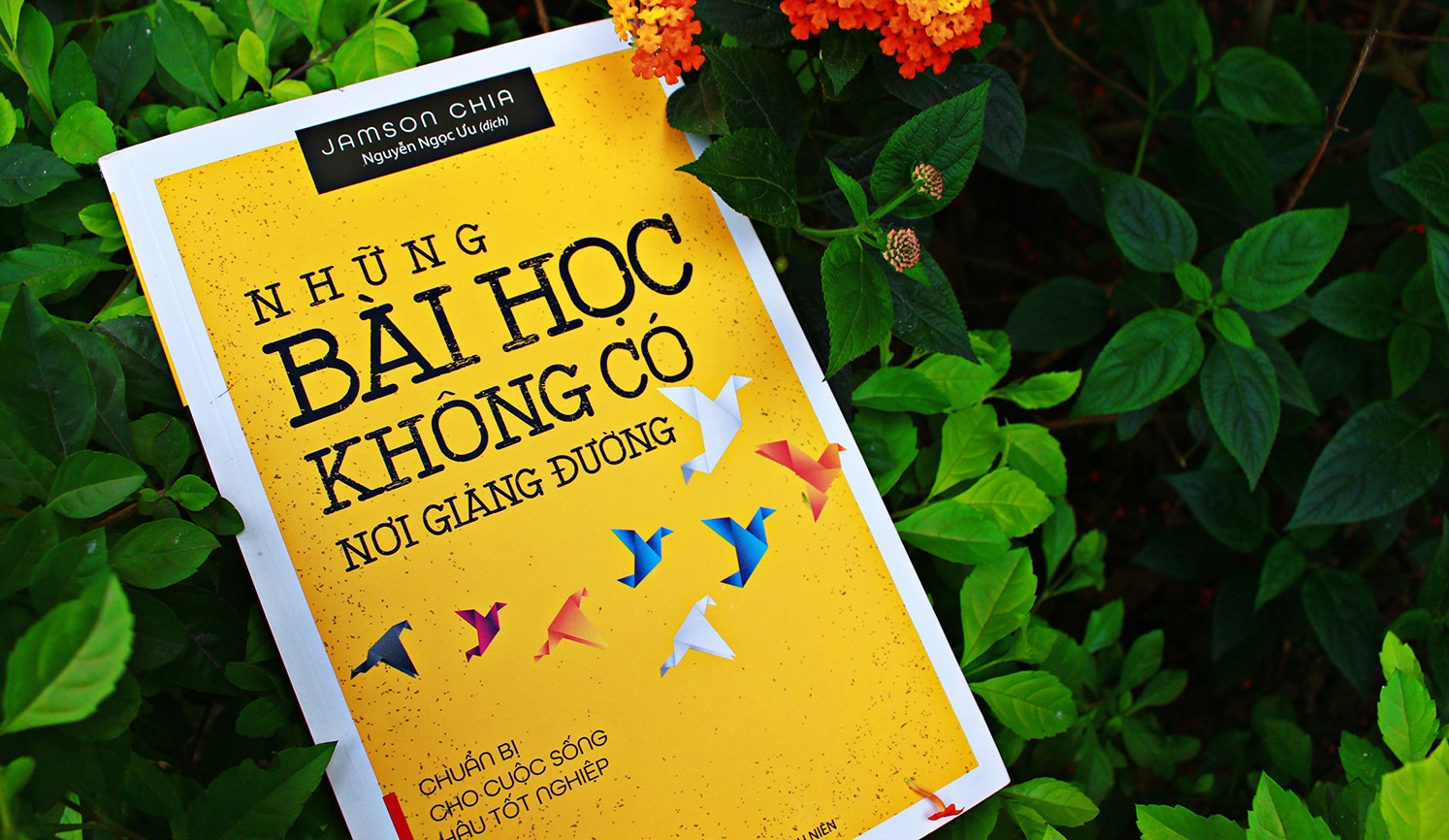 Cau chuyen duong dau voi 'khung hoang' hau tot nghiep hinh anh