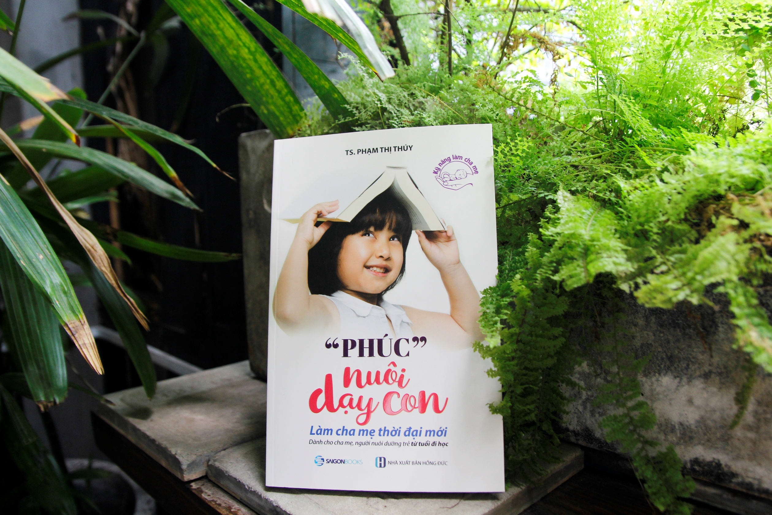 bo sach Ky nang lam cha me anh 2