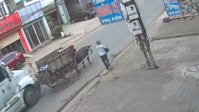 Xe container va cham voi xe trau hinh anh