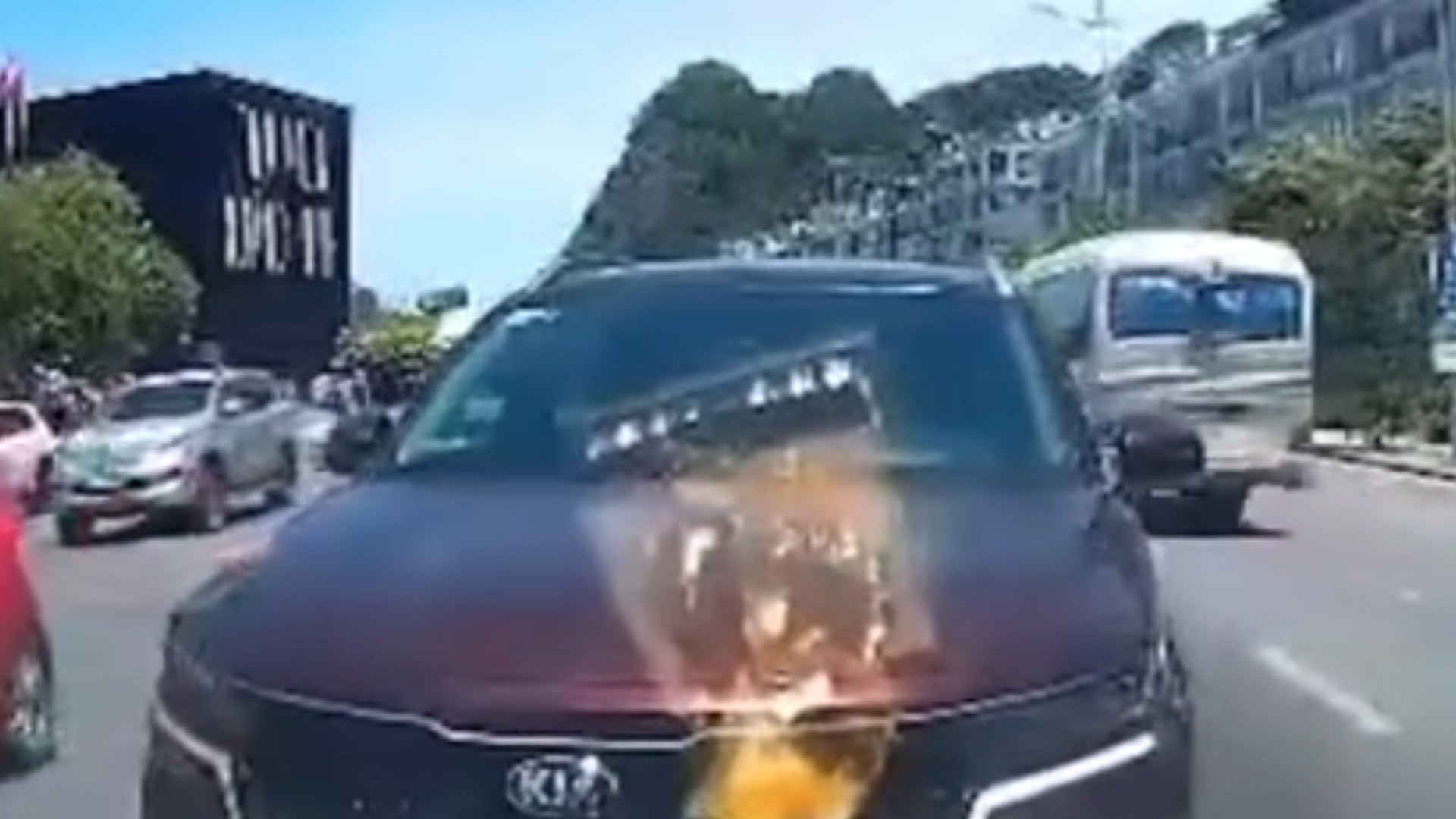 Oto di nguoc chieu, nhay den khong nhuong duong o Ha Long hinh anh