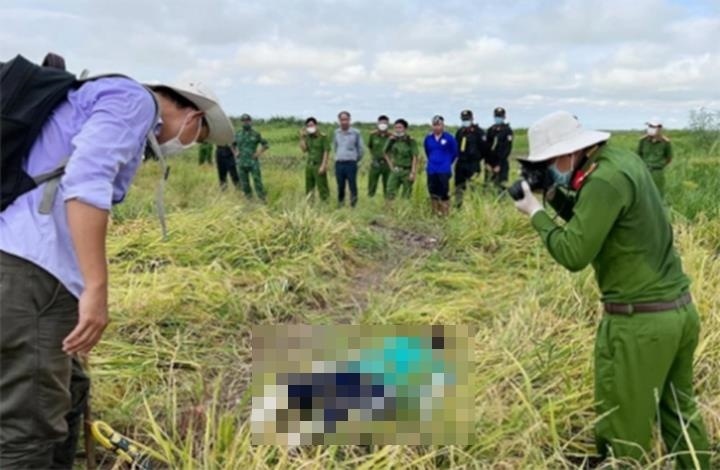 Giang dien bay chuot o ruong lua, gay chet nguoi hinh anh