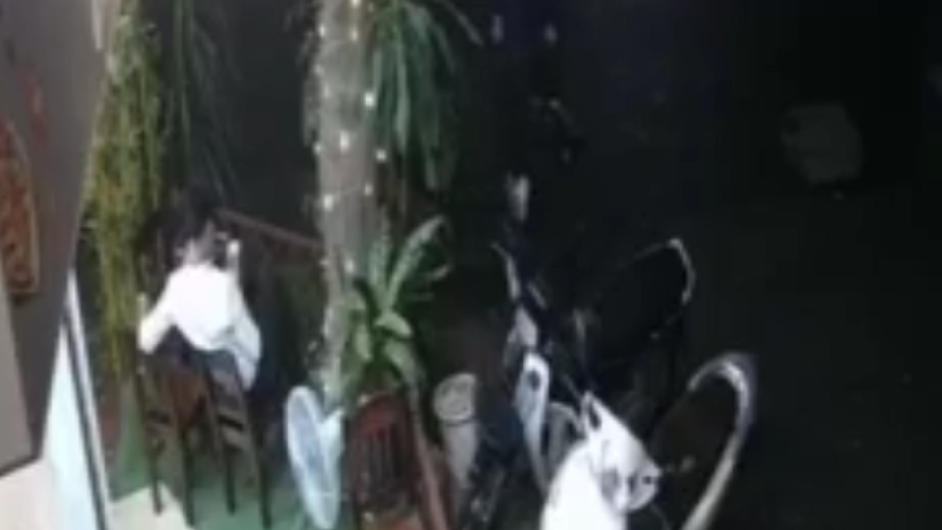 Mai xem dien thoai, thanh nien bi trom xe SH hinh anh