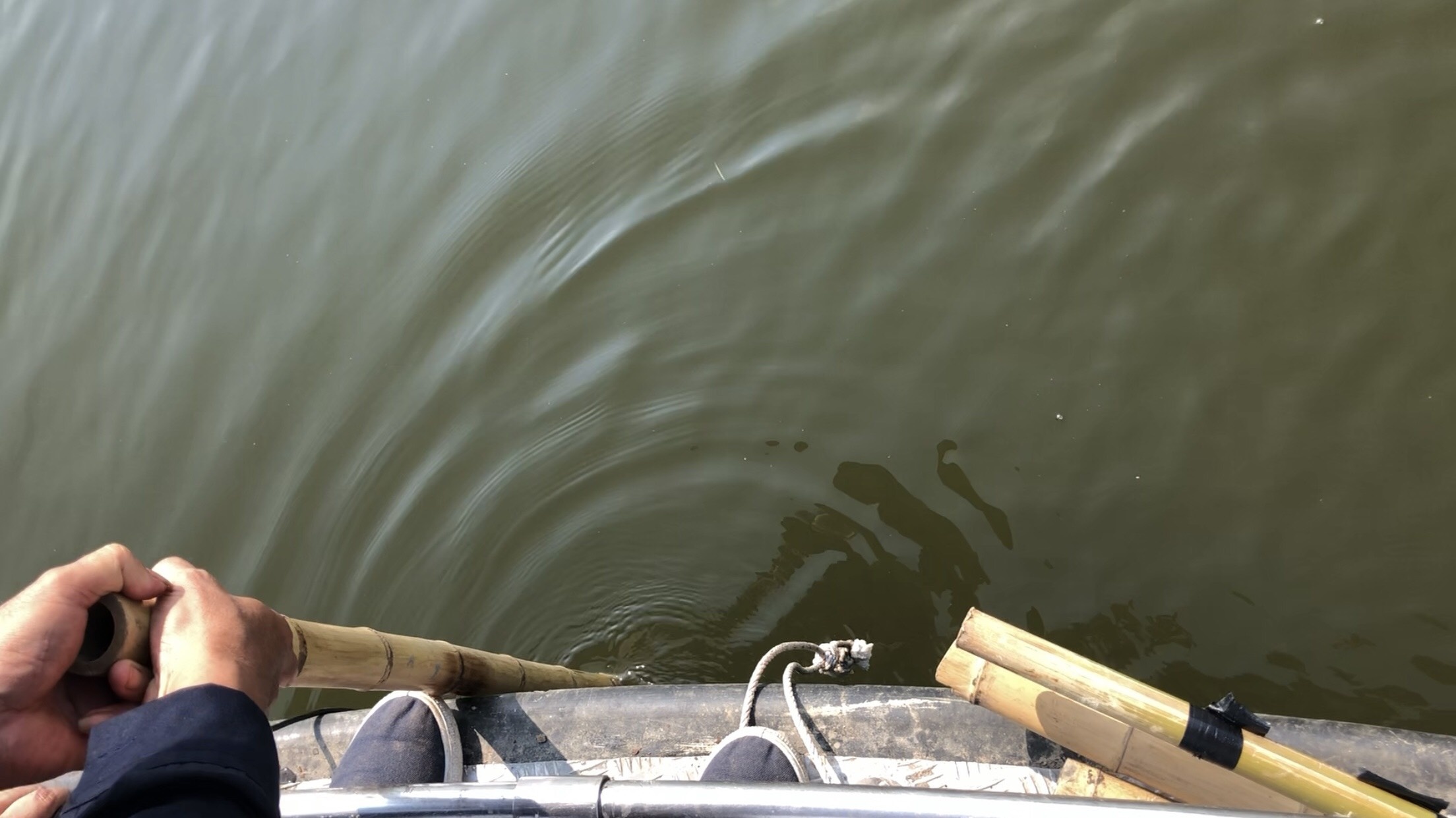 Co gai mat tich anh 3