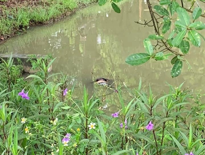 Thi the nguoi dan ong noi tren mat ao hinh anh