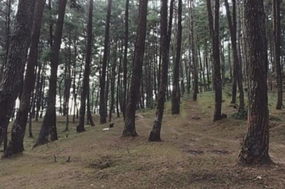 Nu giao vien va dong nghiep thuong vong tren doi thong hinh anh