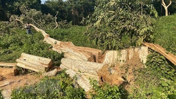 Nguyen hat pho Hat Kiem lam nhan hoi lo qua tai khoan cua vo hinh anh
