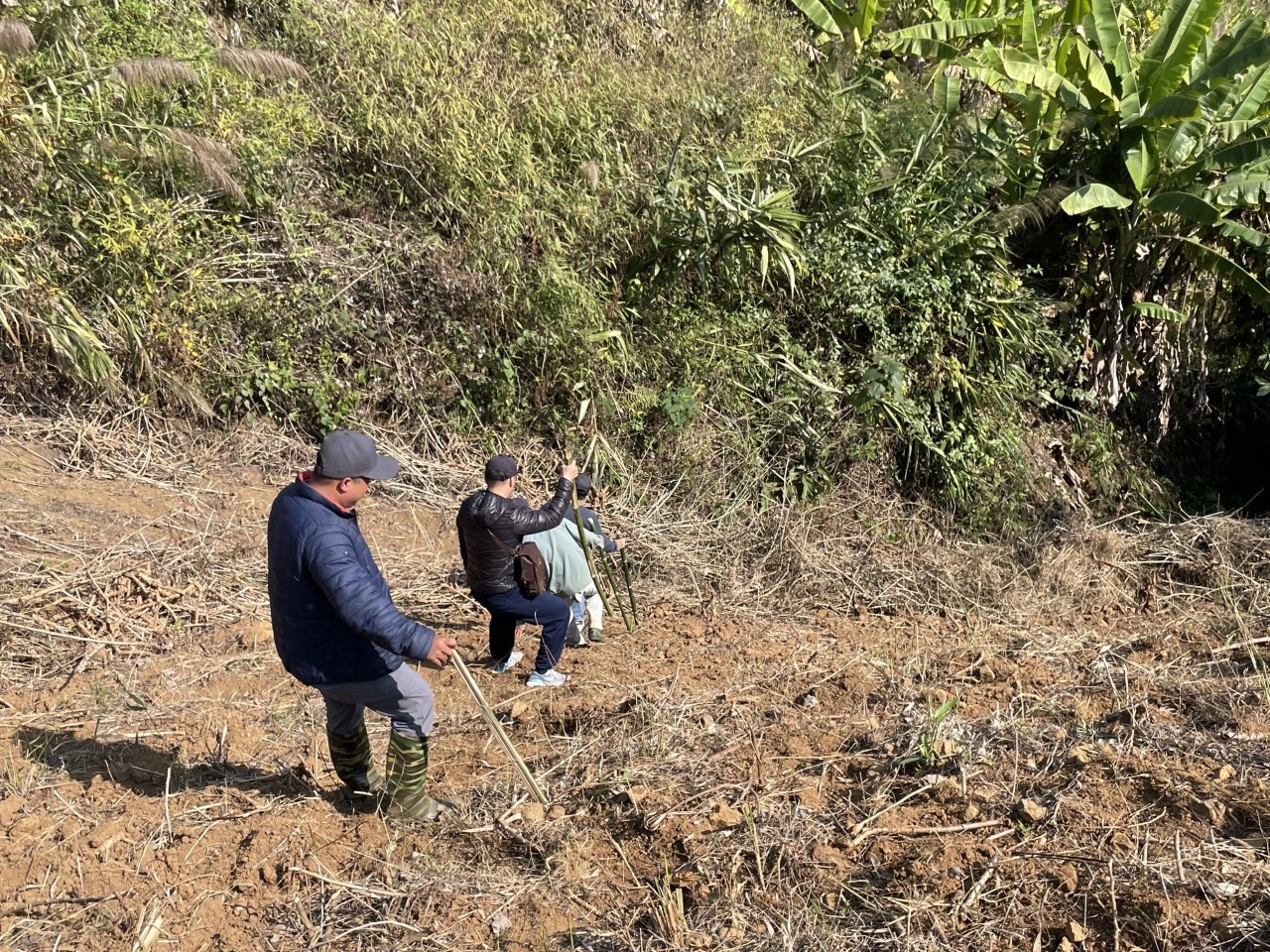 Giet nguoi o Lai Chau anh 3