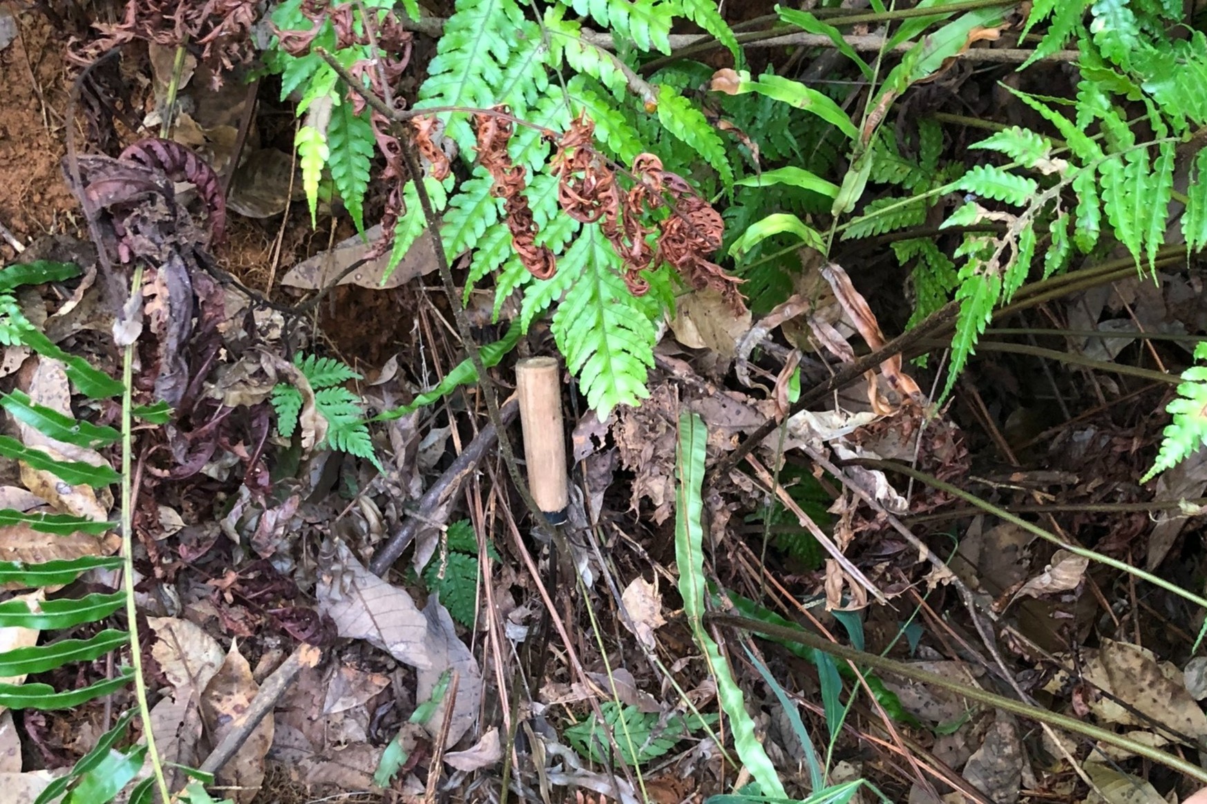 Giet nguoi o Lai Chau anh 2