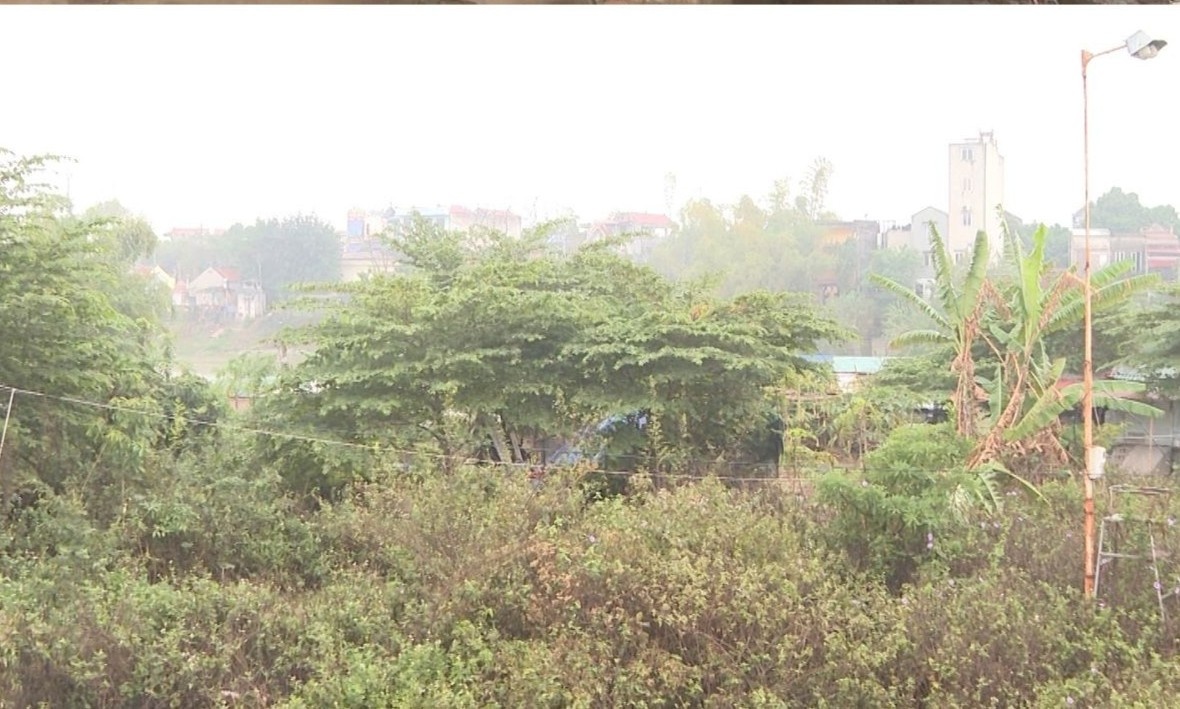 Dung thuyen mac can lam noi ban ma tuy hinh anh