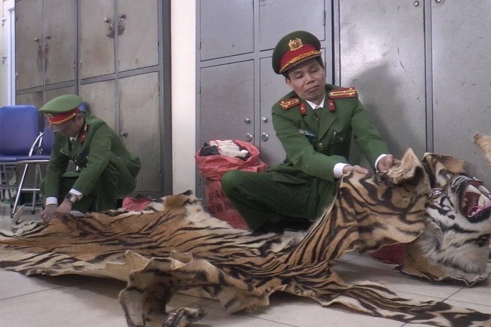 Tai xe taxi van chuyen 3 bo da nghi cua ho hinh anh