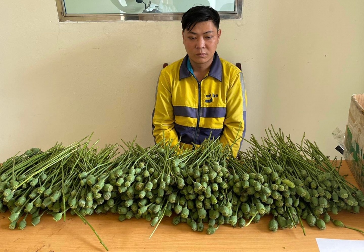 Mang 5 kg cay thuoc phien ra ban o cong truong hinh anh
