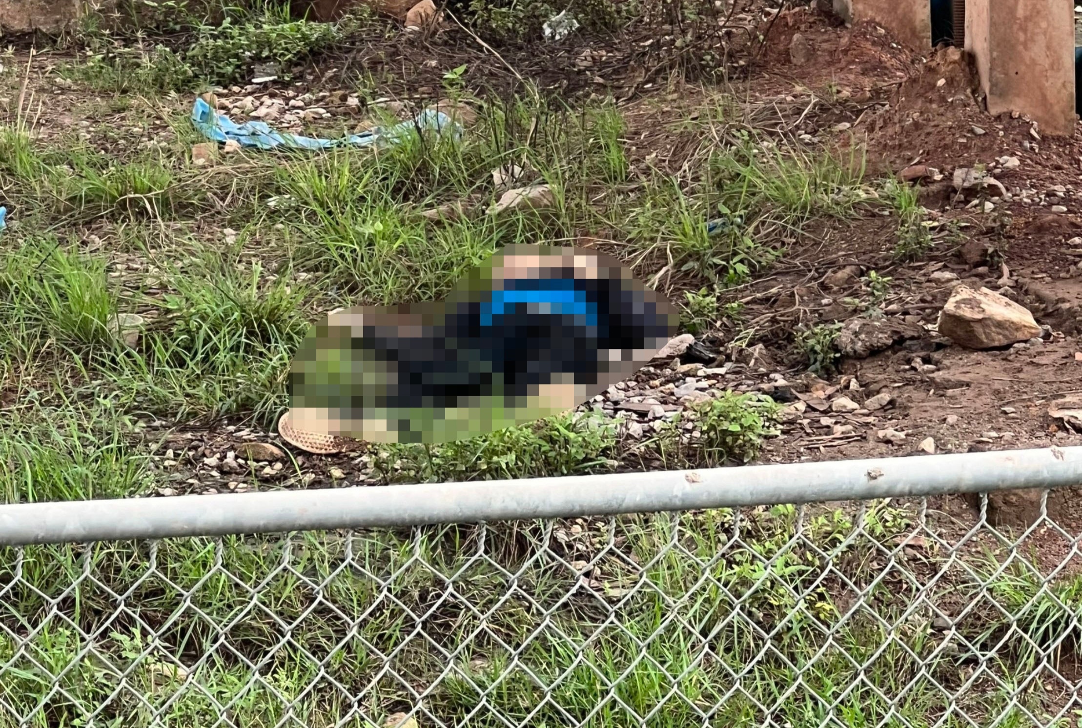 Nguoi dan ong tu vong gan cao toc hinh anh