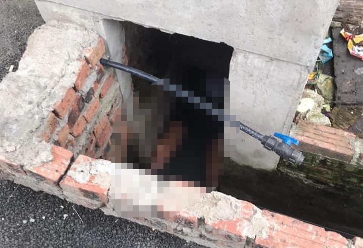 Dieu tra vu nguoi dan ong tu vong duoi cong hinh anh