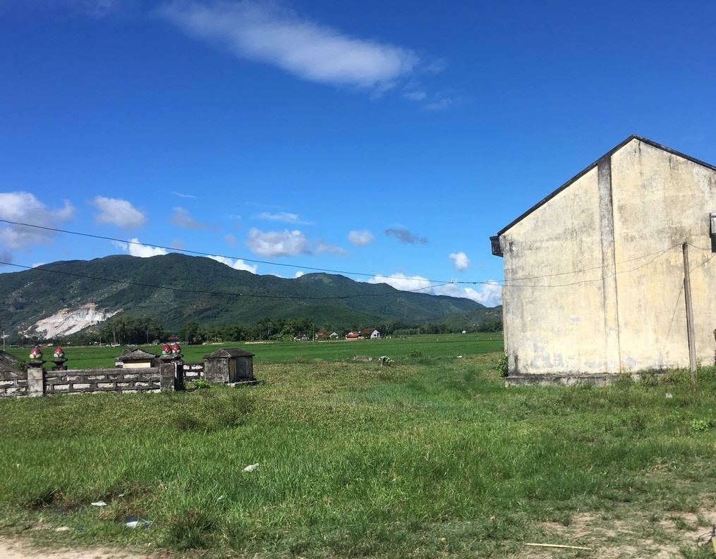 Cu ong bi danh anh 1