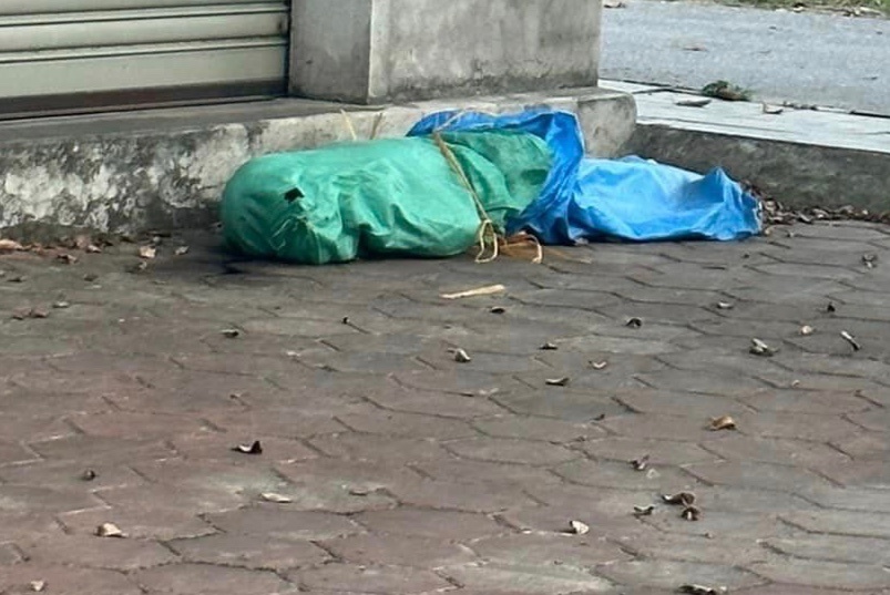 Vu thi the bi trum bao tai o Hai Phong: Xac dinh nguyen nhan tu vong hinh anh