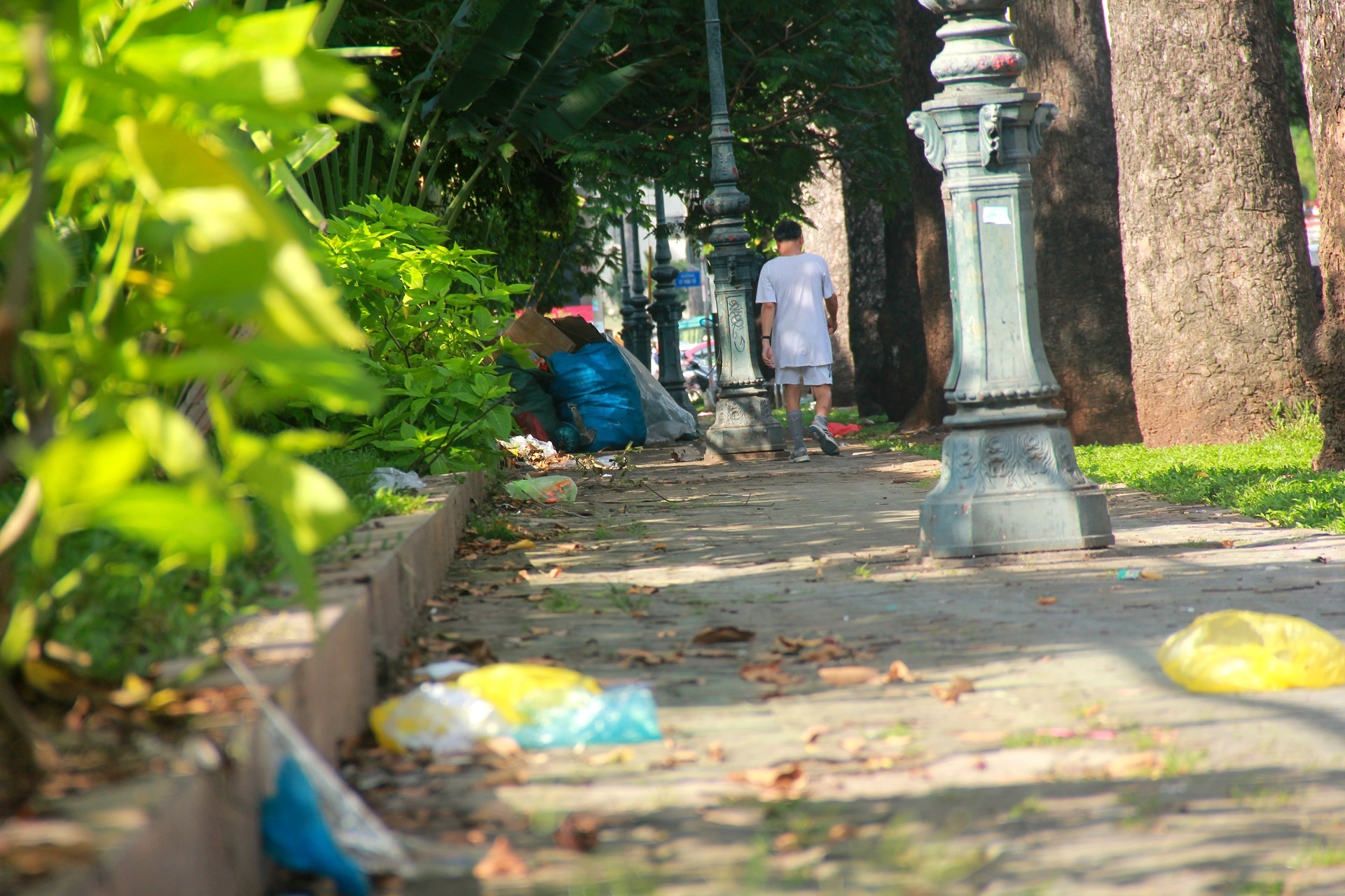 Duong pho bien thanh bai rac,  TP.HCM anh 10