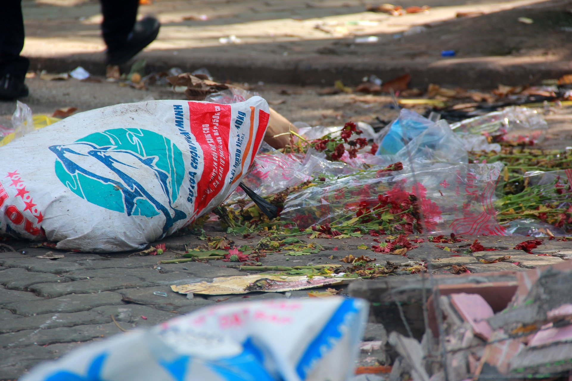 Duong pho bien thanh bai rac,  TP.HCM anh 6