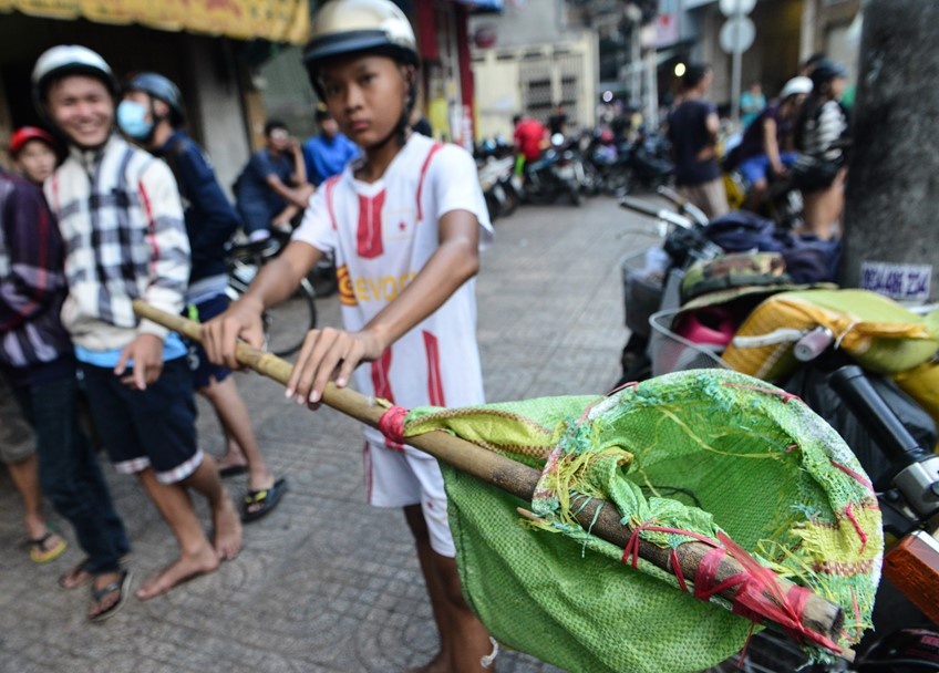 Sai Gon het canh dam dap, giat tien cung co hon tren pho hinh anh