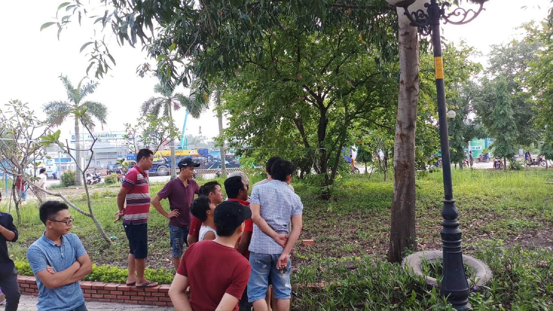 Nguoi dan ong treo co trong cong vien o Sai Gon hinh anh