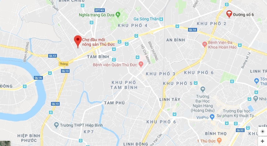 Tu tu tai cong vien o Sai Gon anh 2