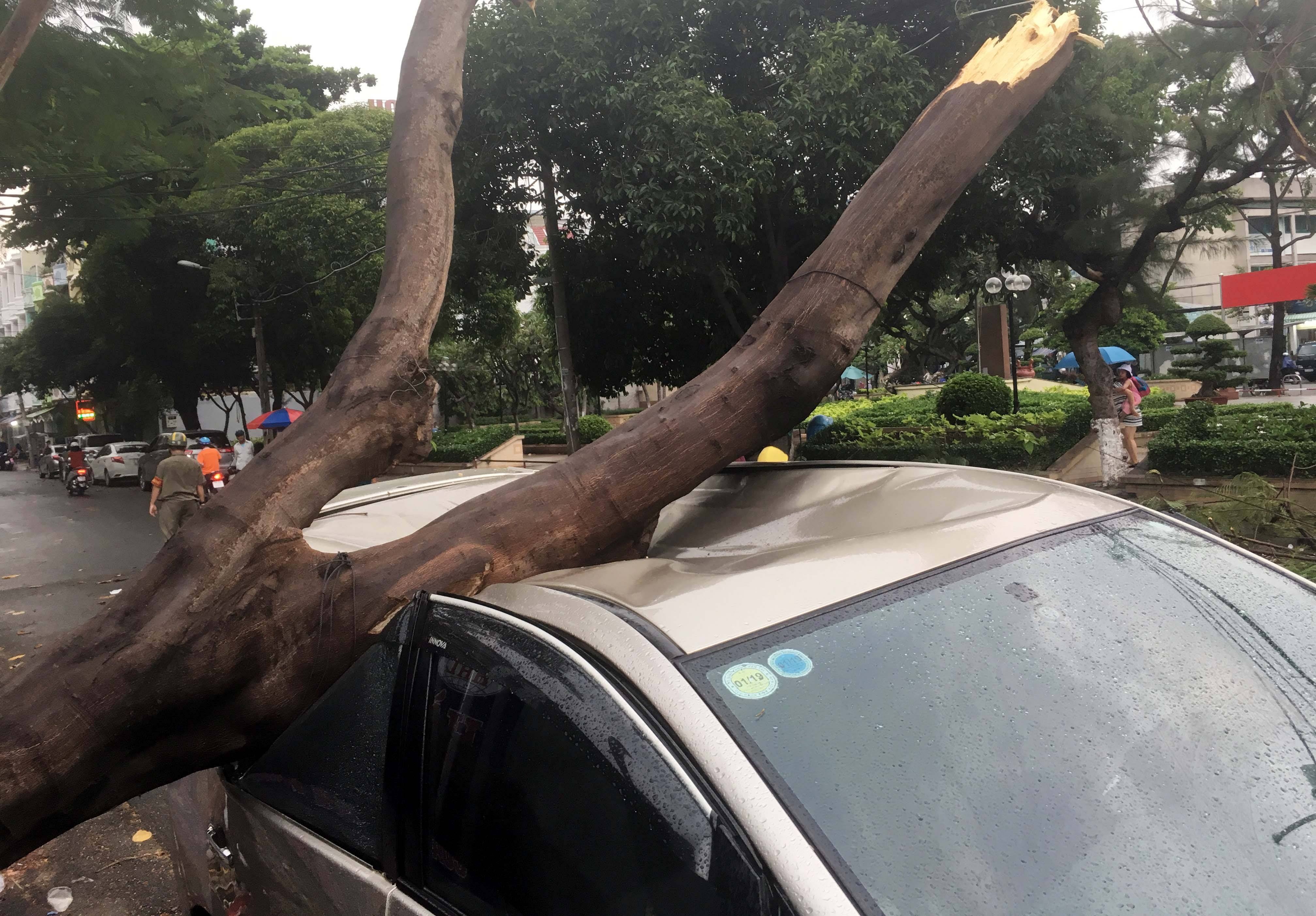 Cay xanh de trung oto o Sai Gon, nhieu nguoi thao chay hinh anh