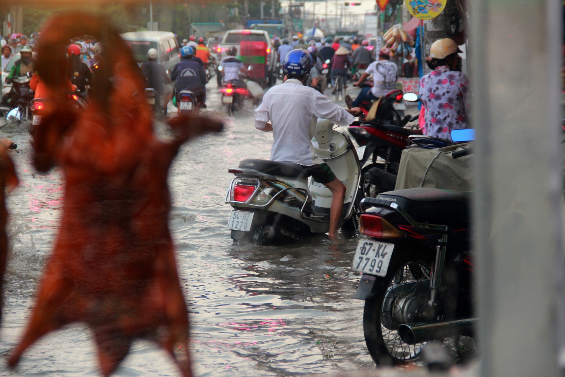 Sai Gon ngap nang anh 10