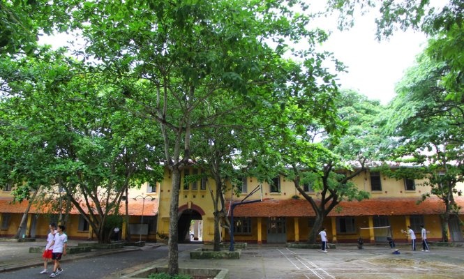 Ngung xay moi truong Chau Van Liem, moi chuyen gia tham dinh hinh anh