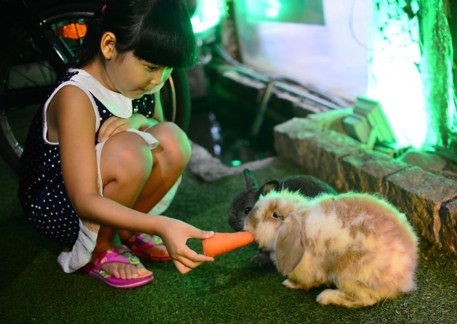 Uom mam huong thien cho nguoi tre hinh anh