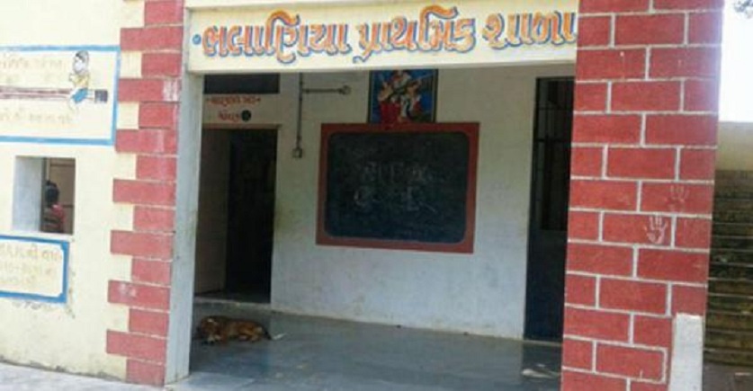 Thay giao rao ban than va mat lay tien sua truong hinh anh