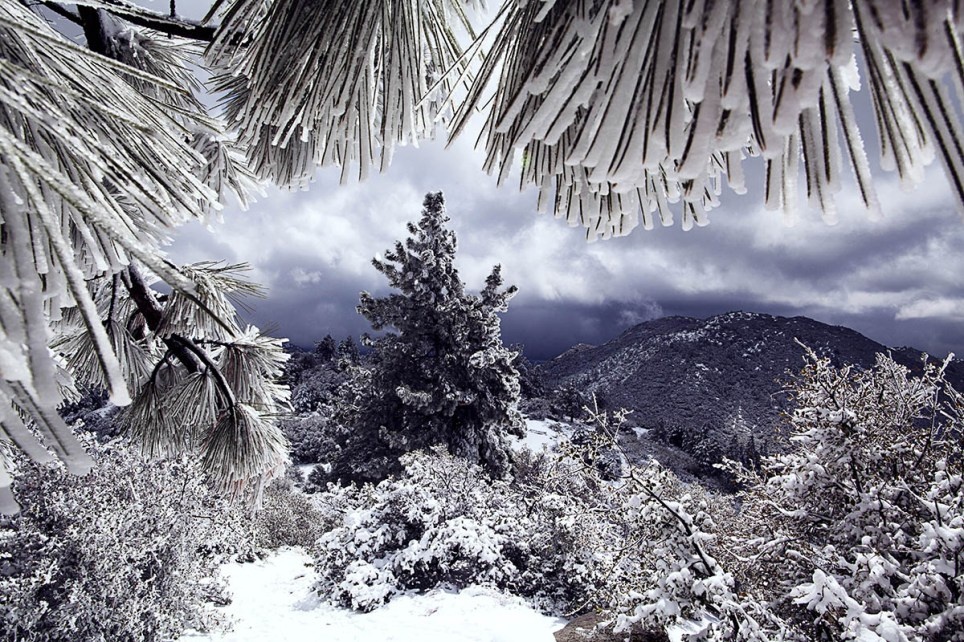 10. Một vùng tuyết trắng xóa ở Idyllwild, California, Mỹ. (Tác giả: Lucia Griggi).