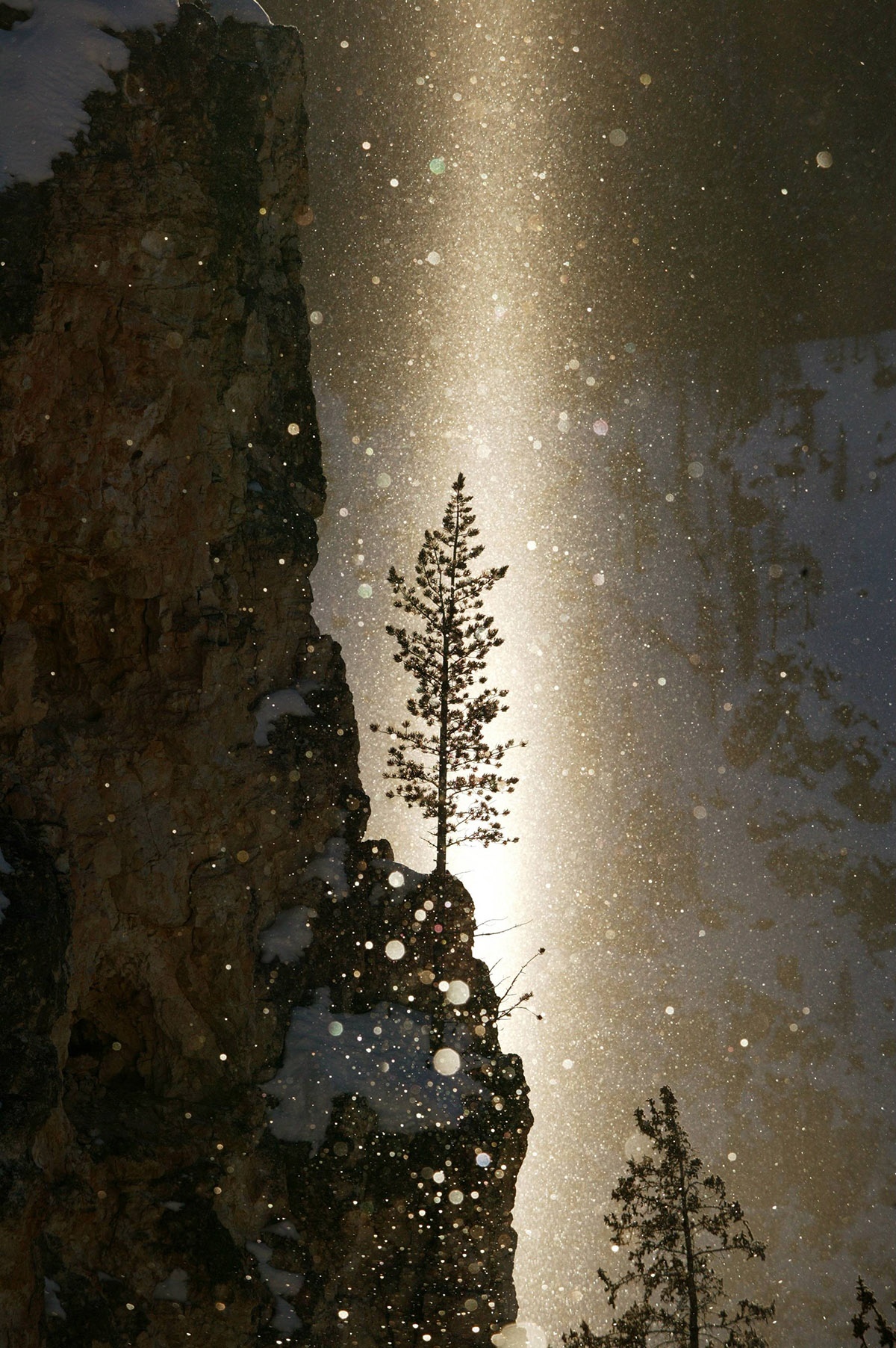 Mặt trời mọc một ngày đông ở Vườn quốc gia Yellowstone, tiểu bang Wyoming, Mỹ. (Tác giả: Martin Jehnichen).