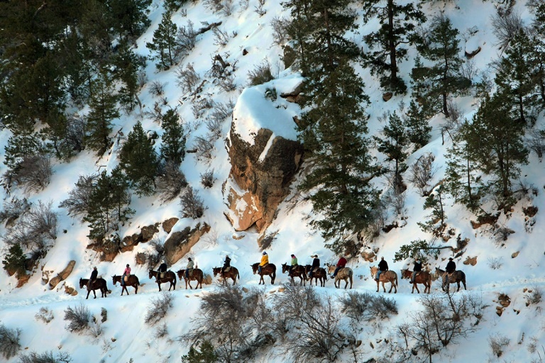 11. Đoàn du khách cưỡi la trên đường mòn Bright Angel đến trang trại Phantom Ranch ở Vườn quốc gia Grand Canyon, tiểu bang Arizona, Mỹ. (Tác giả: Richard Perry).