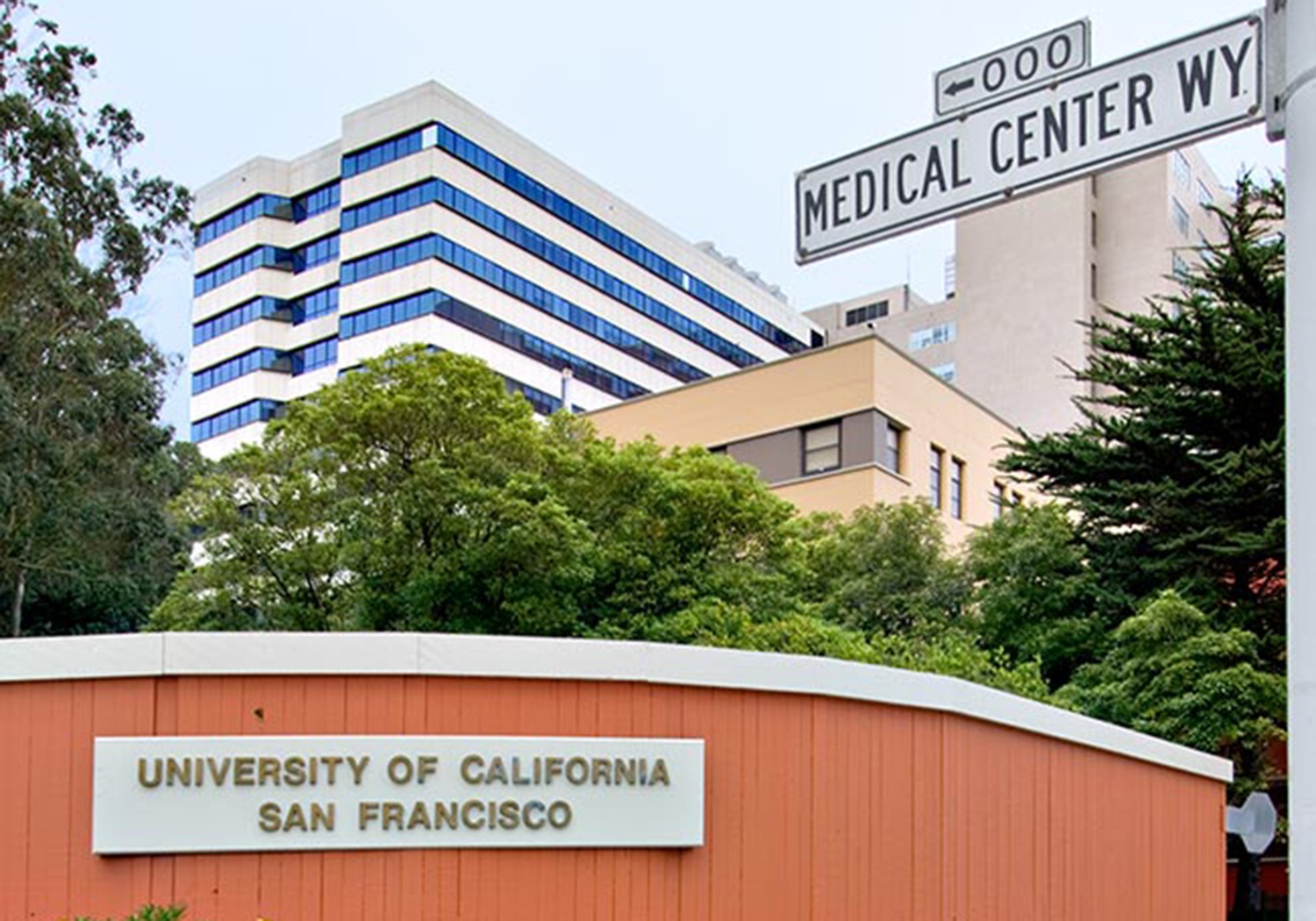 dao tao nganh Y anh 7